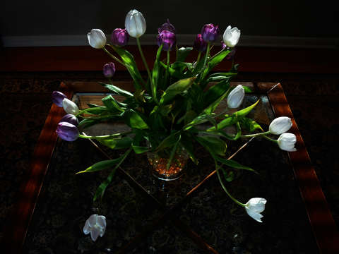 Bouquet 11