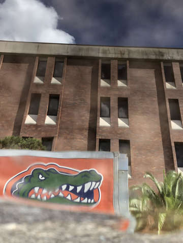 Gators logo
