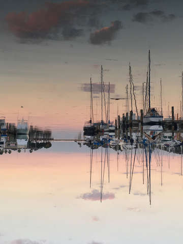 Harbor sunset