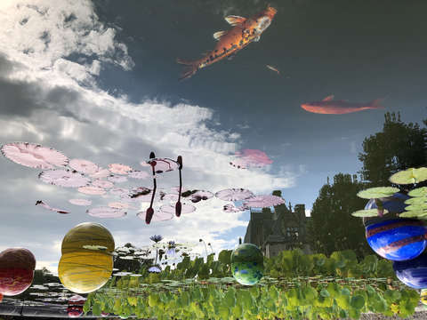 Swimming through the afternoon
