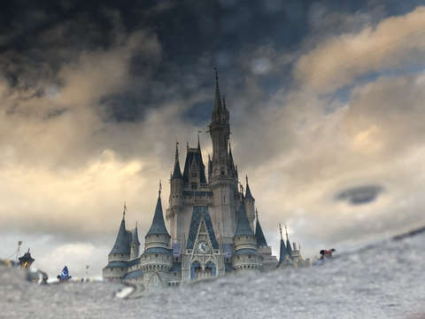 The castle