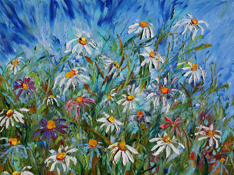 Wild daisies