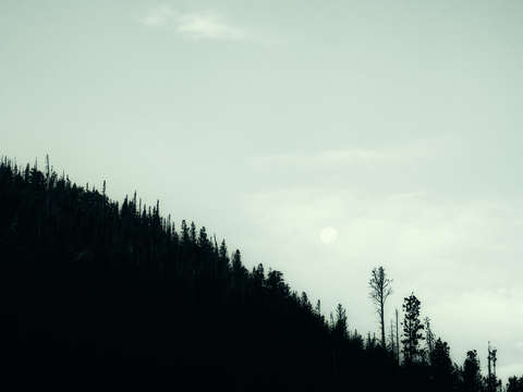 Mornings moon