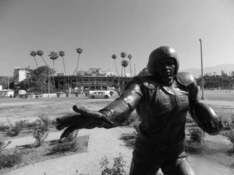 Jackie robinson