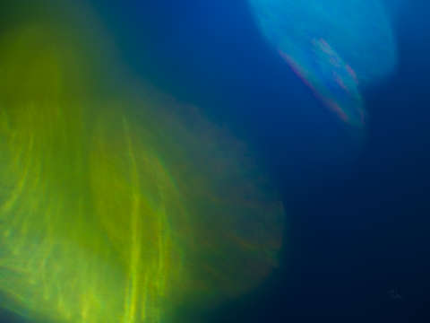 Ephemeral glow 1061 green