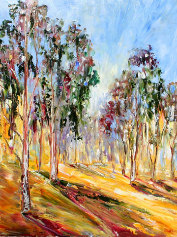 Radiant eucalyptus trees