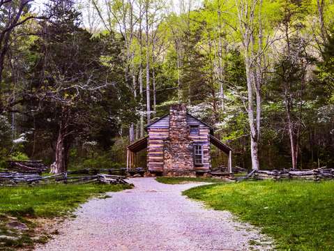 Cabin in the woods dsc 0280