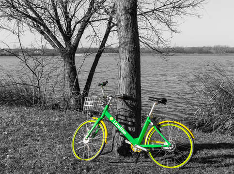 Parked at white rock select color
