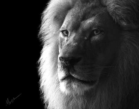 The king returns
