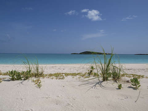 Bahama beach