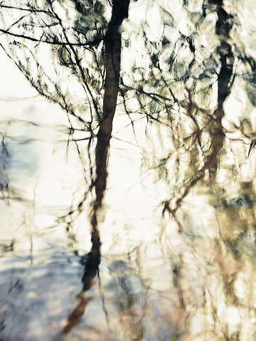 Winters shadow