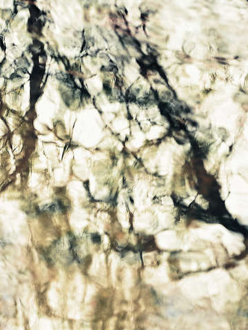 Winters shadow ii