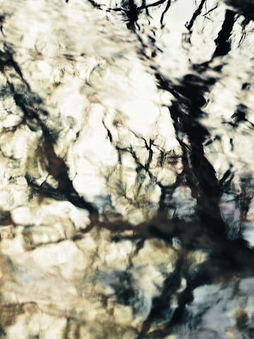Winters shadow iii