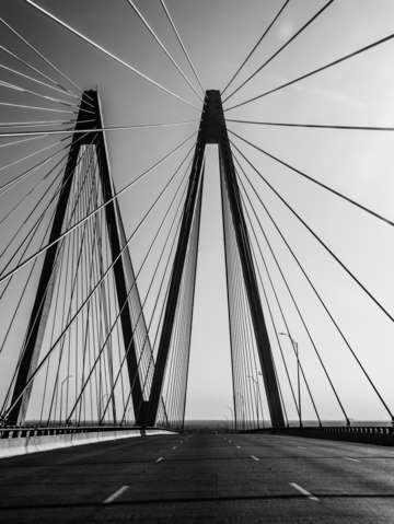 Fred harmon bridge