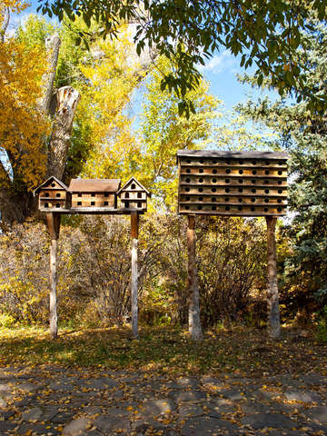 Mr-and-mrs-birdhouse