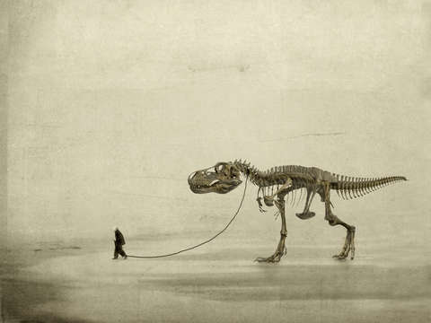 The walk 2
