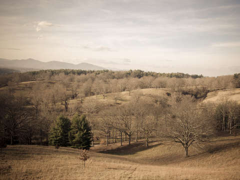 Rolling Hills