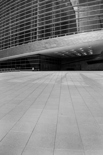 Bok center perspective