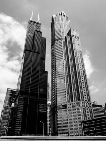 Willis tower and friend