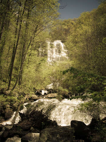 Verdant falls