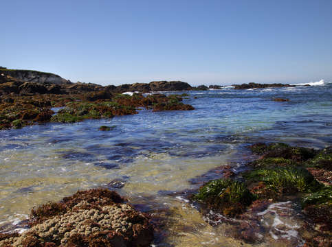 Monterey bay