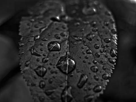 Droplets