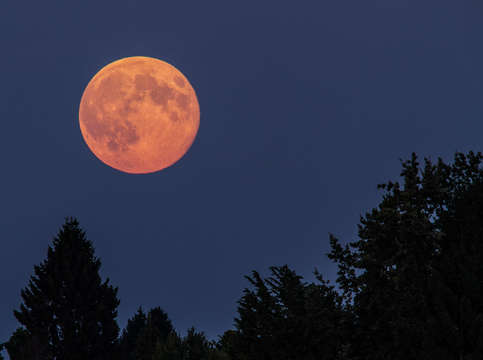 Full moon fever