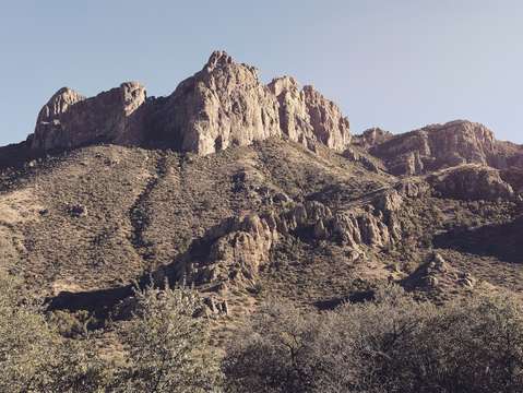 Texas landscape