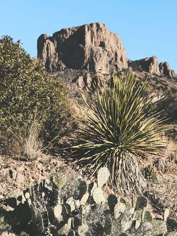 Sunny days in the desert