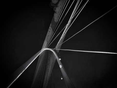 Calatrava harp dallas