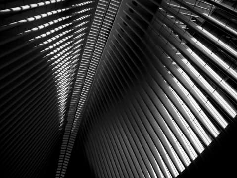 Oculus ribs