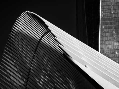 Oculus wings