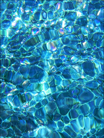 Navel of the mermaid iii