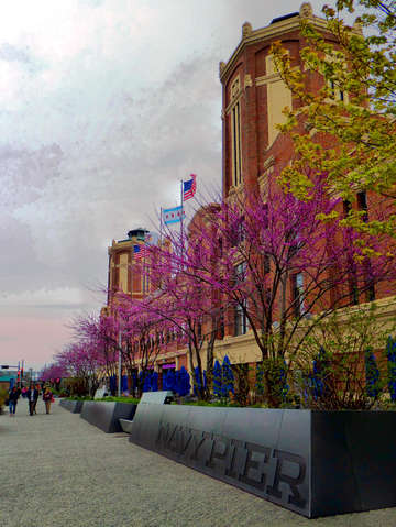 Navy pier