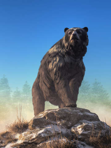 Arctodus