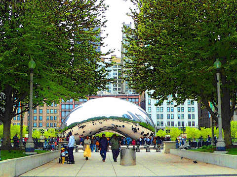 The bean