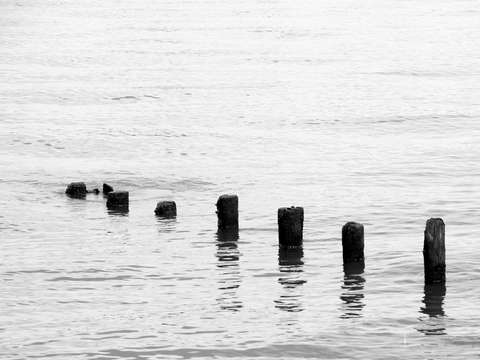 Ripples in the Water