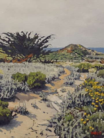 Monterey dunes