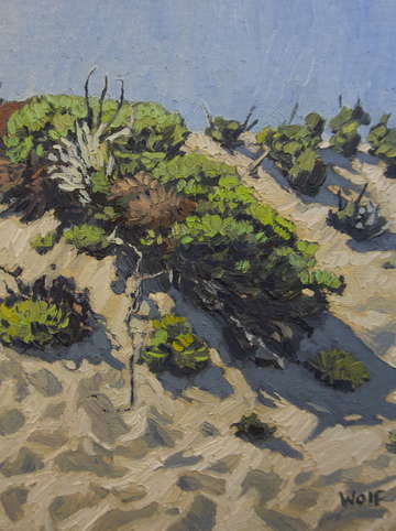 Point reyes sand dune