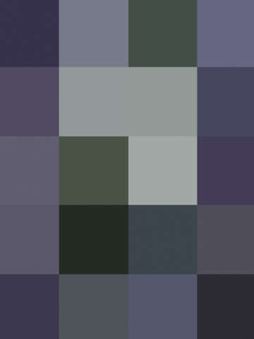 Colorscape blueberry