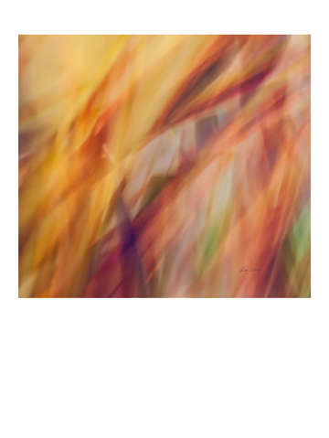 Abstract flame 08628c