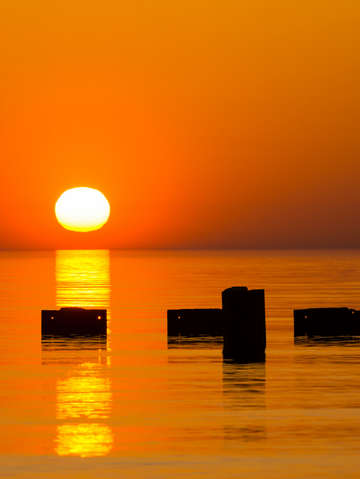Chicago orange galore morning