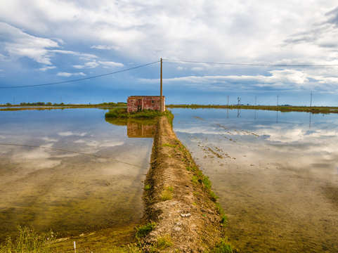 Rice fields reflection