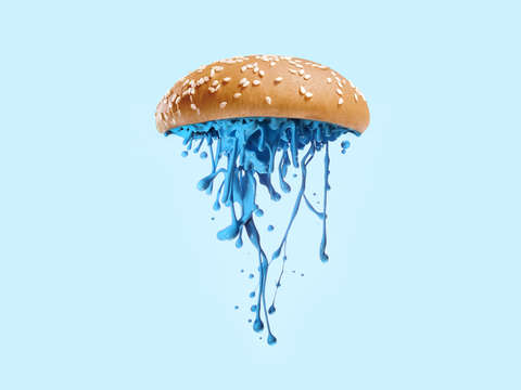 Jelly burger landscape