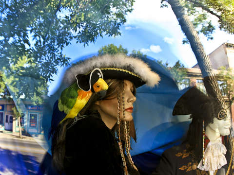 Calgary pirate 2