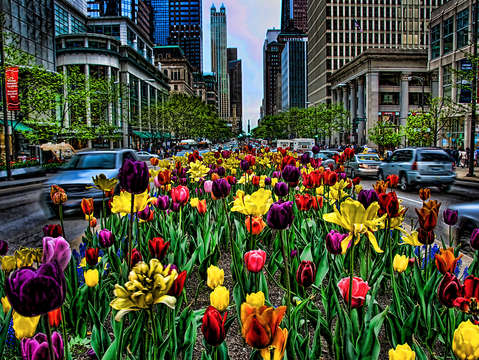 Michigan ave spring