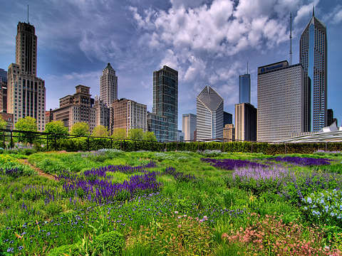 Millennium park 3