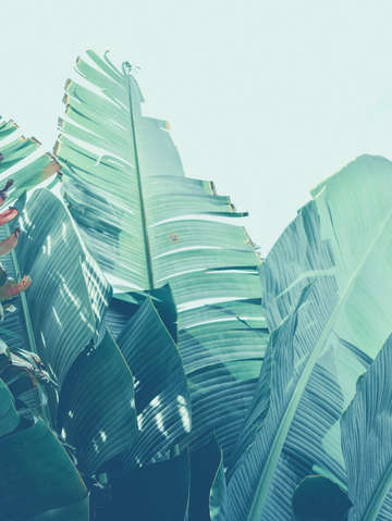 Skyward 2