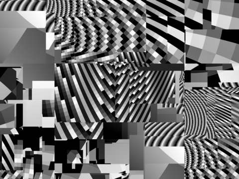 Zebras checkers 1