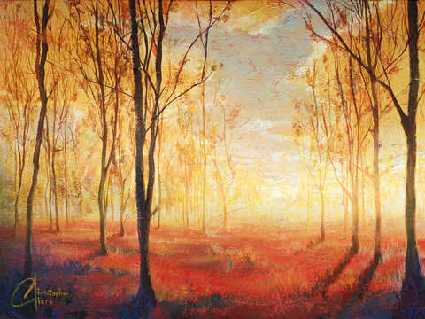 Forest of Hope